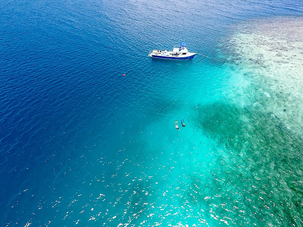 Open Water Completion/Referral Dives