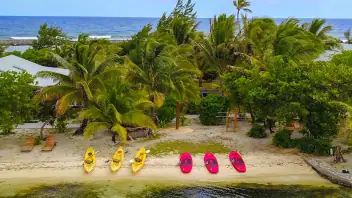 kayaks and paddleboards