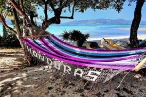 Hammocks hammocks