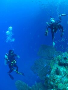 lionfish hunting