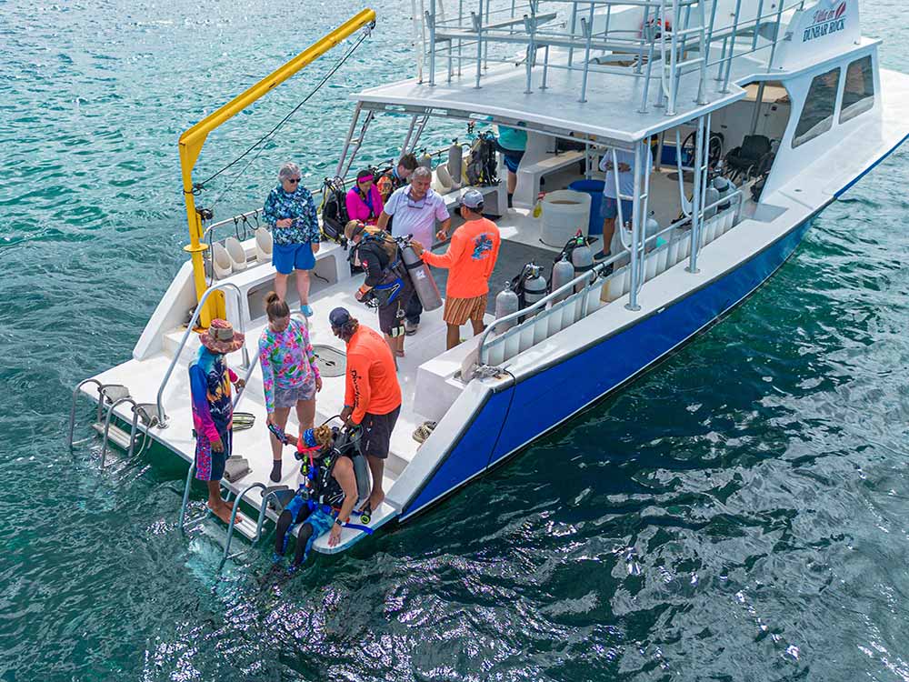 adaptive divers getting off dive boat into the water
